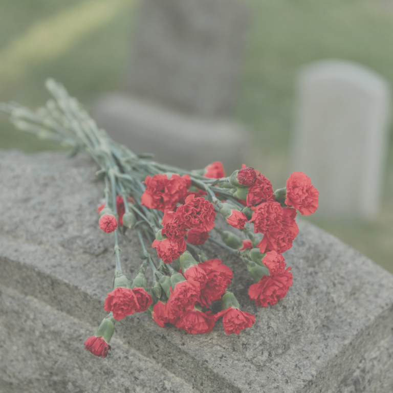 Blume rot Marita Rings Kleer Trauerrednerin Blume rot Marita Rings Kleer Trauerrednerin